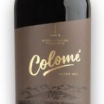 Colome_El_Arenal_Malbec_Salta